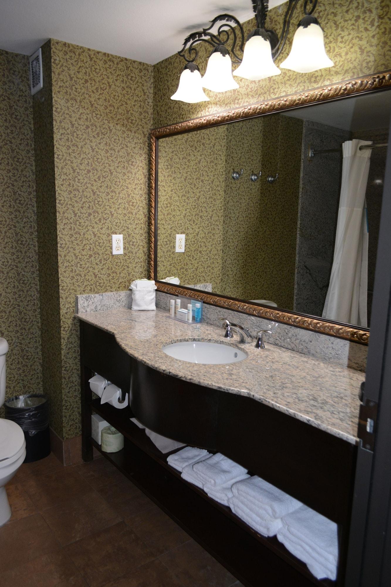 Hampton And Houston-katy Hotel