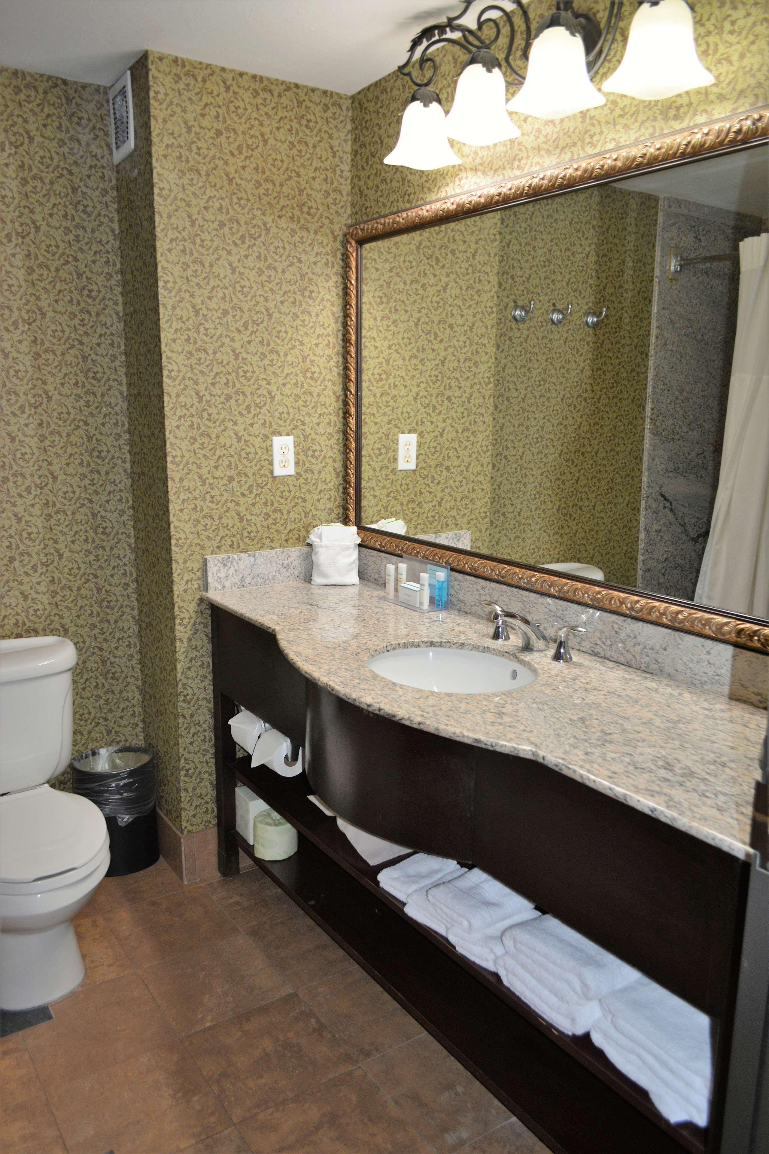 Hampton And Houston-katy Hotel 3*